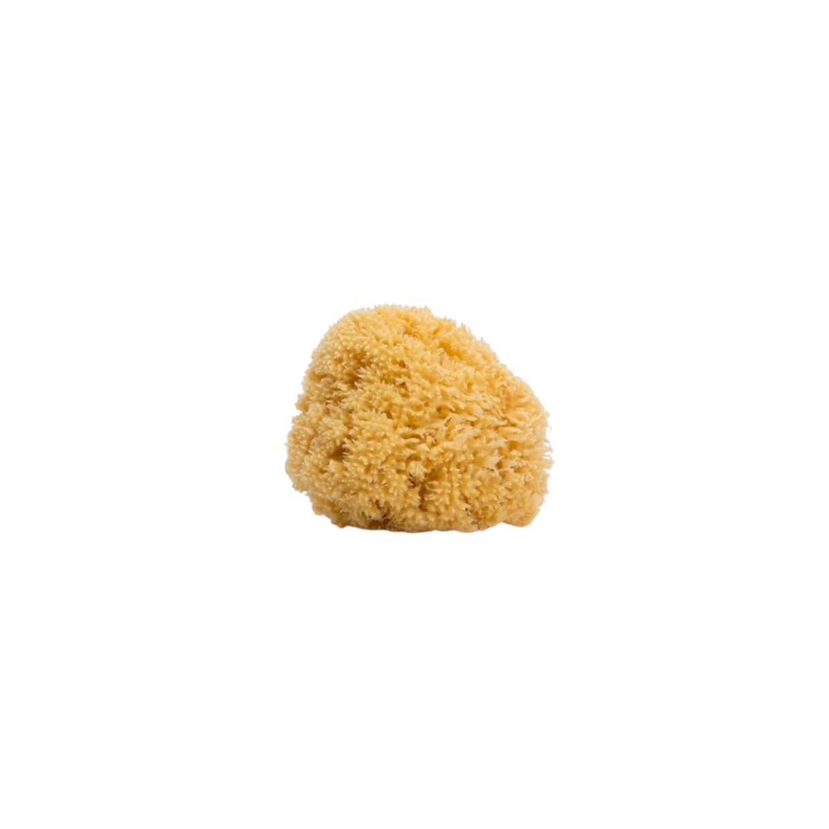 Esponja Natural suavinex en h5farmacia